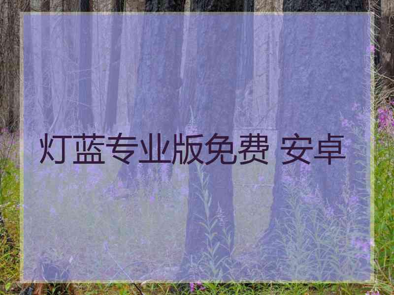 灯蓝专业版免费 安卓