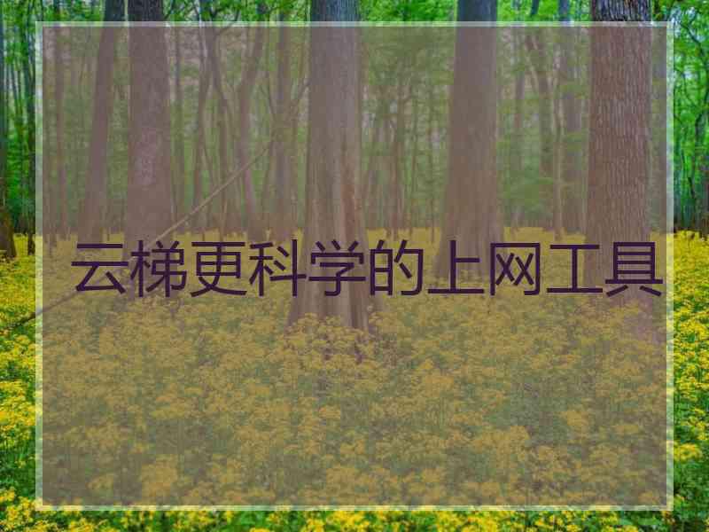 云梯更科学的上网工具