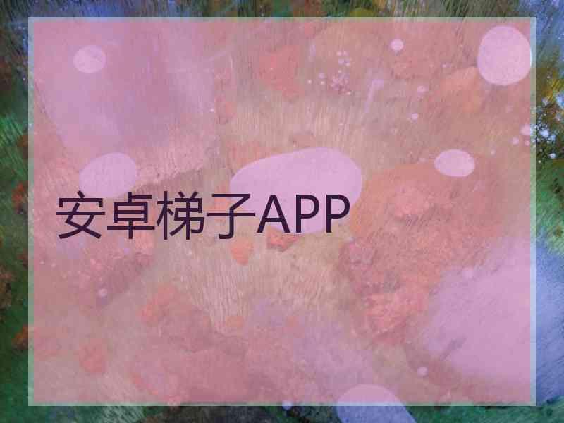 安卓梯子APP