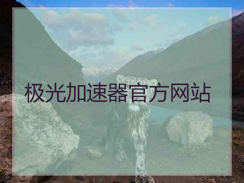 极光加速器官方网站