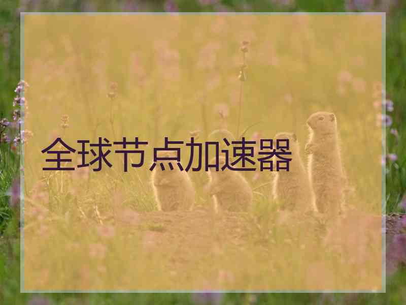 全球节点加速器