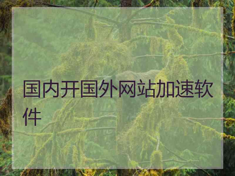 国内开国外网站加速软件