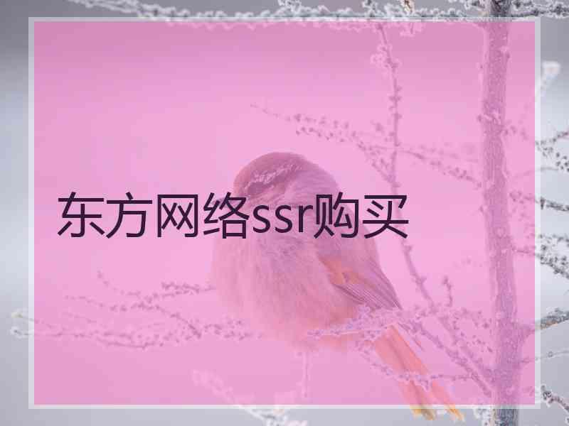 东方网络ssr购买