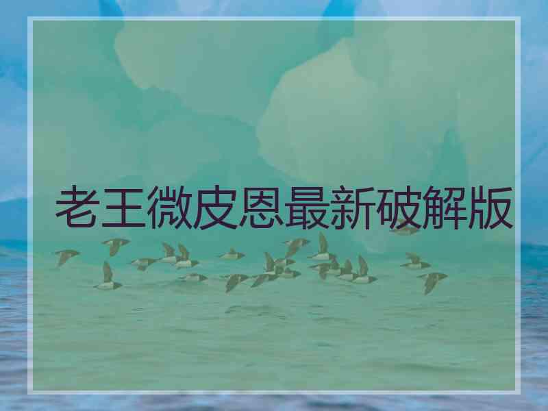 老王微皮恩最新破解版