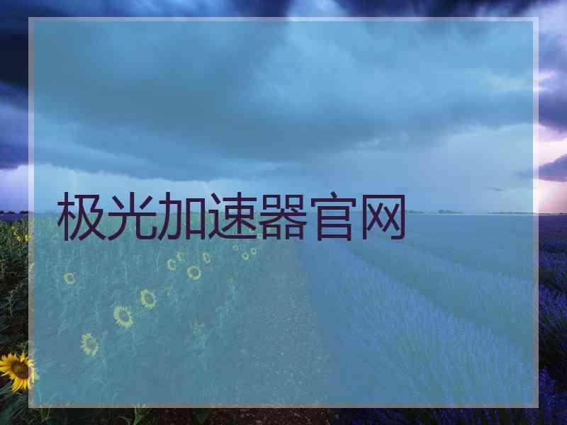 极光加速器官网
