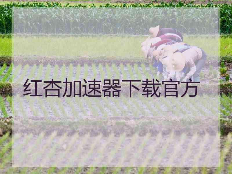红杏加速器下载官方