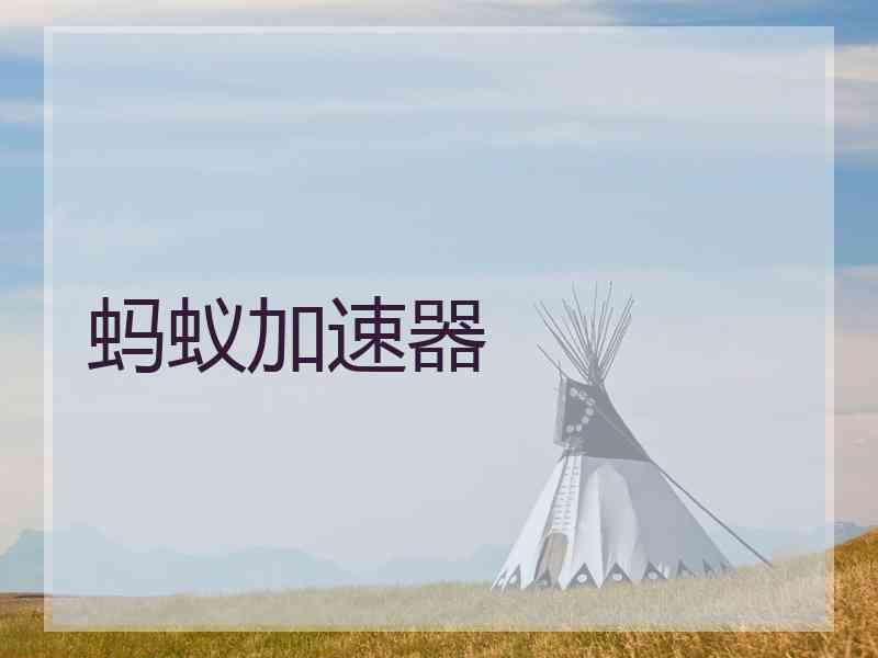 蚂蚁加速器